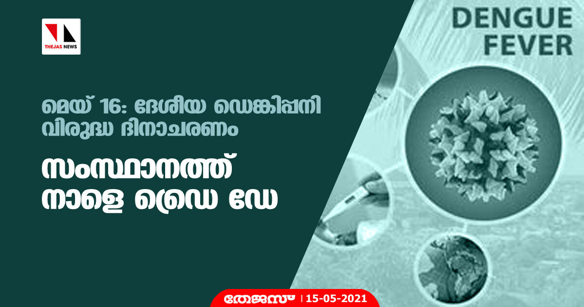 മെയ് 16: ദേശീയ ഡെങ്കിപ്പനി വിരുദ്ധ ദിനാചരണം; സംസ്ഥാനത്ത് നാളെ ഡ്രൈ ഡേ