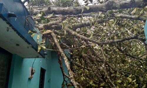 കനത്ത മഴയും കാറ്റും; കോട്ടയം ജില്ലയില്‍ 43 വീടുകള്‍ക്ക് ഭാഗിക നാശനഷ്ടം, അഞ്ച് ദുരിതാശ്വാസ ക്യാംപുകളിലായി 65 പേര്‍