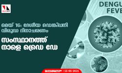 മെയ് 16: ദേശീയ ഡെങ്കിപ്പനി വിരുദ്ധ ദിനാചരണം; സംസ്ഥാനത്ത് നാളെ ഡ്രൈ ഡേ