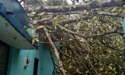 കനത്ത മഴയും കാറ്റും; കോട്ടയം ജില്ലയില്‍ 43 വീടുകള്‍ക്ക് ഭാഗിക നാശനഷ്ടം, അഞ്ച് ദുരിതാശ്വാസ ക്യാംപുകളിലായി 65 പേര്‍