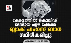 เดเตเดฐเดณเดคเตเดคเดฟเตฝ เดเตเดตเดฟเดกเต เดญเตเดฆเดฎเดพเดฏ เดเดดเต เดชเตเตผเดเตเดเต เดฌเตเดฒเดพเดเต เดซเดเดเดธเต เดฌเดพเดง เดธเตเดฅเดฟเดฐเตเดเดฐเดฟเดเตเดเต เดเตเดฐเดณเดคเตเดคเดฟเตฝ เดเตเดตเดฟเดกเต เดญเตเดฆเดฎเดพเดฏ เดเดดเต เดชเตเตผเดเตเดเต เดฌเตเดฒเดพเดเต เดซเดเดเดธเต เดฌเดพเดง เดธเตเดฅเดฟเดฐเตเดเดฐเดฟเดเตเดเต