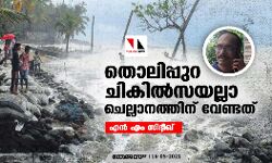 തൊലിപ്പുറ ചികില്‍സയല്ലാ ചെല്ലാനത്തിന് വേണ്ടത്