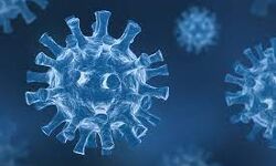 കോട്ടയം ജില്ലയില്‍ 1806 പേര്‍ക്ക് കൊവിഡ്