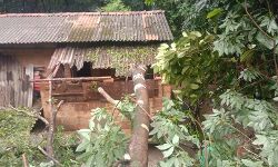 കണ്ണൂരില്‍ നാളെ യെല്ലോ അലേര്‍ട്ട്; തലശ്ശേരി താലൂക്കില്‍ 55 കുടുംബങ്ങളെ മാറ്റിപ്പാര്‍പ്പിച്ചു