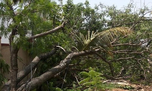 ന്യൂനമര്ദം: കല്പ്പറ്റയില് രണ്ടിടത്ത് വീടുകള് ഭാഗികമായി തകര്ന്നു; ഒരാള്ക്ക് പരിക്ക് ന്യൂനമര്ദം: കല്പ്പറ്റയില് രണ്ടിടത്ത് വീടുകള് ഭാഗികമായി തകര്ന്നു; ഒരാള്ക്ക് പരിക്ക്