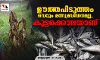 ഊത്തപിടുത്തം വെറും മത്സ്യബന്ധനമല്ല, കൂട്ടക്കൊലയാണ്