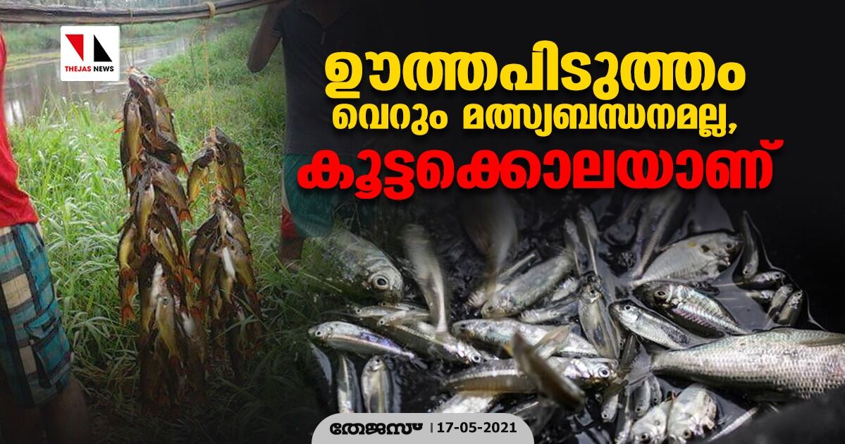 ഊത്തപിടുത്തം വെറും മത്സ്യബന്ധനമല്ല, കൂട്ടക്കൊലയാണ് ഊത്തപിടുത്തം വെറും മത്സ്യബന്ധനമല്ല, കൂട്ടക്കൊലയാണ്