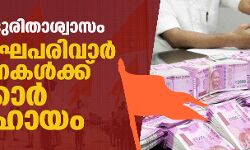 736 സംഘപരിവാര്‍ സംഘടനകള്‍ക്ക് സര്‍ക്കാര്‍ ധനസഹായം