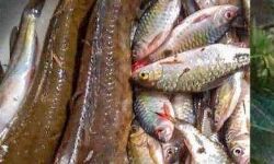 เดเดคเตเดคเดชเดฟเดเตเดคเตเดคเด เดตเตเดฏเดพเดชเดเด; เดจเดเดชเตเดชเดเดฟ เดธเตเดตเตเดเดฐเดฟเดเตเดเดฃเดฎเตเดจเตเดจเต เดเดฒเดธเตเดฐเดเตเดทเดพ เดธเดฎเดฟเดคเดฟ เดเดคเตเดคเดชเดฟเดเตเดคเตเดคเด เดตเตเดฏเดพเดชเดเด; เดจเดเดชเตเดชเดเดฟ เดธเตเดตเตเดเดฐเดฟเดเตเดเดฃเดฎเตเดจเตเดจเต เดเดฒเดธเตเดฐเดเตเดทเดพ เดธเดฎเดฟเดคเดฟ