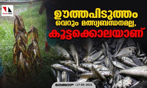 ഊത്തപിടുത്തം വെറും മത്സ്യബന്ധനമല്ല, കൂട്ടക്കൊലയാണ്