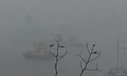 ടൗട്ടെ ചുഴലിക്കാറ്റ്: മുംബൈ തീരത്ത് നിയന്ത്രണം നഷ്ടപ്പെട്ട ബാര്‍ജുകളില്‍ നിന്ന് രക്ഷപ്പെടുത്തിയവരുടെ എണ്ണം 177ആയി; തിരച്ചില്‍ തുടരുന്നു