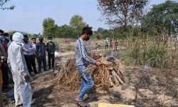 1621 അധ്യാപക അനധ്യാപക ജീവനക്കാര് കൊവിഡ് ബാധിച്ച് മരിച്ചുവെന്ന റിപ്പോര്ട്ട് തള്ളി യുപി സര്ക്കാര് 1621 അധ്യാപക അനധ്യാപക ജീവനക്കാര് കൊവിഡ് ബാധിച്ച് മരിച്ചുവെന്ന റിപ്പോര്ട്ട് തള്ളി യുപി സര്ക്കാര്