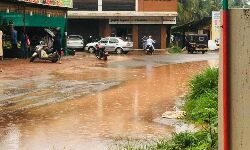 മീപുഗുരി ഡ്രൈനേജ് പ്രശ്നത്തിന് ഉടന് പരിഹാരം കാണണം: എസ്ഡിപിഐ മീപുഗുരി ഡ്രൈനേജ് പ്രശ്നത്തിന് ഉടന് പരിഹാരം കാണണം: എസ്ഡിപിഐ