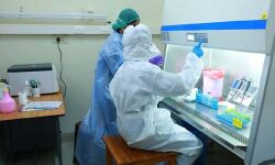 เดชเตเดเตเดเดพเดฐเตโ เดคเตเดเตเดเตเดเตเดเดฐเดฏเดฟเดฒเตโ เดชเตเดธเดฟเดฑเตเดฑเตเดตเดฟเดฑเตเดฑเดฟ เดจเดฟเดฐเดเตเดเต 50 เดถเดคเดฎเดพเดจเดคเตเดคเดฟเดจเดฐเดฟเดเต; เดเตเดฎเดฐเดเดคเตเดคเต เดเตเดตเดฟเดกเต เดตเตเดฏเดพเดชเดจเด เดเตเดฑเดฏเตเดจเตเดจเต เดชเตเดเตเดเดพเดฐเตโ เดคเตเดเตเดเตเดเตเดเดฐเดฏเดฟเดฒเตโ เดชเตเดธเดฟเดฑเตเดฑเตเดตเดฟเดฑเตเดฑเดฟ เดจเดฟเดฐเดเตเดเต 50 เดถเดคเดฎเดพเดจเดคเตเดคเดฟเดจเดฐเดฟเดเต; เดเตเดฎเดฐเดเดคเตเดคเต เดเตเดตเดฟเดกเต เดตเตเดฏเดพเดชเดจเด เดเตเดฑเดฏเตเดจเตเดจเต