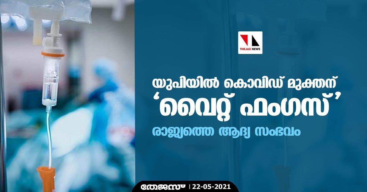 യുപിയില് കൊവിഡ് മുക്തന് വൈറ്റ് ഫംഗസ്; രാജ്യത്തെ ആദ്യ സംഭവം യുപിയില് കൊവിഡ് മുക്തന് വൈറ്റ് ഫംഗസ്; രാജ്യത്തെ ആദ്യ സംഭവം