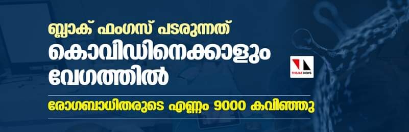 ബ്ലാക് ഫംഗസ് പടരുന്നത് കൊവിഡിനെക്കാളും വേഗത്തില്; രോഗബാധിതരുടെ എണ്ണം 9000 കവിഞ്ഞു ബ്ലാക് ഫംഗസ് പടരുന്നത് കൊവിഡിനെക്കാളും വേഗത്തില്; രോഗബാധിതരുടെ എണ്ണം 9000 കവിഞ്ഞു
