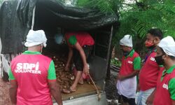 ദുരിതത്തിലായ കപ്പ കർഷകർക്ക് കൈതാങ്ങായി എസ്ഡിപിഐ