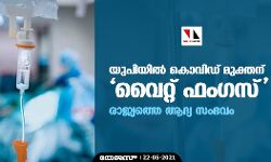 യുപിയില്‍ കൊവിഡ് മുക്തന് വൈറ്റ് ഫംഗസ്; രാജ്യത്തെ ആദ്യ സംഭവം
