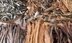 เดฎเดฒเดชเตเดชเตเดฑเดคเตเดคเต เดเดฃเดเตเด เดฎเดคเตเดธเตเดฏเดคเตเดคเดฟเดจเต เดเตเดคเตเดฐเดฟเดฎ เดตเดฟเดฒเดตเดฐเตโเดงเดจ; เดเตเดณเดณเดฒเดพเดญเดฎเตเดเตเดเตเดเตเดจเตเดจเดคเต เดฎเตเดคเตเดค เดตเตเดฏเดพเดชเดพเดฐเดฟเดเดณเตโ เดฎเดฒเดชเตเดชเตเดฑเดคเตเดคเต เดเดฃเดเตเด เดฎเดคเตเดธเตเดฏเดคเตเดคเดฟเดจเต เดเตเดคเตเดฐเดฟเดฎ เดตเดฟเดฒเดตเดฐเตโเดงเดจ; เดเตเดณเดณเดฒเดพเดญเดฎเตเดเตเดเตเดเตเดจเตเดจเดคเต เดฎเตเดคเตเดค เดตเตเดฏเดพเดชเดพเดฐเดฟเดเดณเตโ