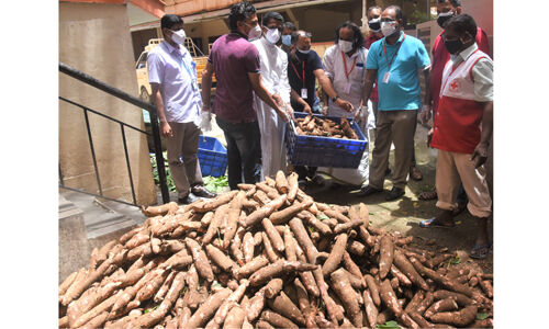 ലോക്ക് ഡൗണ്‍ : എറണാകുളത്തെ ഐഎജി അടുക്കളയ്ക്ക് സഹൃദയ യുടെ ആയിരം കിലോ കപ്പ