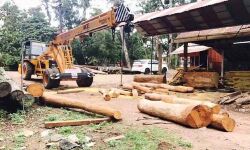 സോമില്‍ ഫോറസ്റ്റ് ലൈസന്‍സിന് അപേക്ഷിക്കാം; അവസാന തിയ്യതി ആഗസ്ത് 11