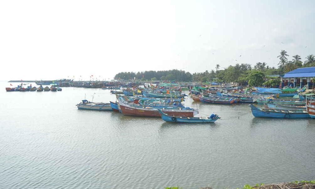 ചോമ്പാല് ഹാര്ബര് തുറക്കാനുള്ള തീരുമാനത്തെ സ്വാഗതം ചെയ്യുന്നുവെന്ന് എസ്ഡിപിഐ ചോമ്പാല് ഹാര്ബര് തുറക്കാനുള്ള തീരുമാനത്തെ സ്വാഗതം ചെയ്യുന്നുവെന്ന് എസ്ഡിപിഐ