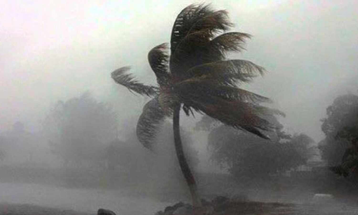 ശക്തമായ കാറ്റിന് സാധ്യത; മല്സ്യതൊഴിലാളികള്ക്ക് ജാഗ്രതാ നിര്ദ്ദേശം ശക്തമായ കാറ്റിന് സാധ്യത; മല്സ്യതൊഴിലാളികള്ക്ക് ജാഗ്രതാ നിര്ദ്ദേശം