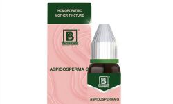 ആസ്പിഡോസ്‌പെര്‍മ ഓക്സിജന്‍ നല്‍കുന്നതിന് പകരമല്ലെന്ന് ഹോമിയോപ്പതി ഡയറക്ടര്‍