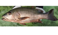 เดฎเดฒเตโเดธเตเดฏเดเตเดทเดฟเดเตเดเต เดตเดจเตโ เดจเตเดเตเดเด;เดเดจเตเดคเตเดฏเดฏเดฟเดฒเตโ เดเดฆเตเดฏเดฎเดพเดฏเดฟ เดเตเดฎเตเดชเดฒเตเดฒเดฟเดฏเตเดเต เดตเดฟเดคเตเดคเตเดฒเตโเดชเดพเดฆเดจเด เดตเดฟเดเดฏเด เดฎเดฒเตโเดธเตเดฏเดเตเดทเดฟเดเตเดเต เดตเดจเตโ เดจเตเดเตเดเด;เดเดจเตเดคเตเดฏเดฏเดฟเดฒเตโ เดเดฆเตเดฏเดฎเดพเดฏเดฟ เดเตเดฎเตเดชเดฒเตเดฒเดฟเดฏเตเดเต เดตเดฟเดคเตเดคเตเดฒเตโเดชเดพเดฆเดจเด เดตเดฟเดเดฏเด