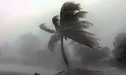 ശക്തമായ കാറ്റിന് സാധ്യത;  മല്‍സ്യതൊഴിലാളികള്‍ക്ക് ജാഗ്രതാ നിര്‍ദ്ദേശം