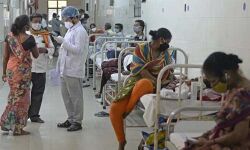 രാജ്യത്ത് പടര്‍ന്നുപിടിച്ച് ബ്ലാക്ക് ഫംഗസ്; ഇതുവരെ സ്ഥിരീകരിച്ചത് 11,717 പേര്‍ക്ക്, കൂടുതല്‍ കേസുകള്‍ ഗുജറാത്തില്‍