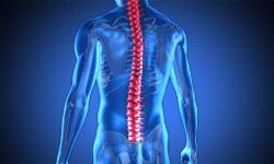 നൂതന സ്‌പൈനല്‍ റീഹാബ് യൂനിറ്റ് സര്‍ക്കാര്‍ ആരോഗ്യമേഖലയിലും