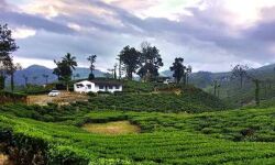 മലക്കപ്പാറയില്‍ കൊവിഡ് പ്രതിരോധം ശക്തമാക്കാന്‍    സജ്ജീകരണങ്ങള്‍ ഒരുക്കും - കലക്ടര്‍