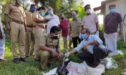 മയിലിനെ കിണറ്റില്‍ ചത്ത നിലയില്‍ കണ്ടെത്തി