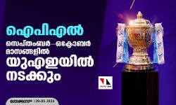 ഐപിഎല്‍ സെപ്തംബര്‍-ഒക്ടോബര്‍ മാസങ്ങളില്‍ യുഎഇയില്‍ നടക്കും