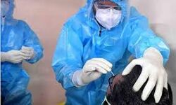 ടെസ്റ്റ് പോസിറ്റീവിറ്റി നിരക്ക് 12.34 ലെത്തിച്ച് മലപ്പുറം; 3,990 പേര്‍ക്ക് വൈറസ് ബാധ