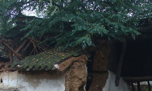 പ്രകൃതിക്ഷോഭം മൂലം നാശനഷ്ടം: കര്ഷകര്ക്ക് നഷ്ടപരിഹാരം നല്കണമെന്ന് മന്ത്രിക്ക് എംഎല്എയുടെ നിവേദനം പ്രകൃതിക്ഷോഭം മൂലം നാശനഷ്ടം: കര്ഷകര്ക്ക് നഷ്ടപരിഹാരം നല്കണമെന്ന് മന്ത്രിക്ക് എംഎല്എയുടെ നിവേദനം