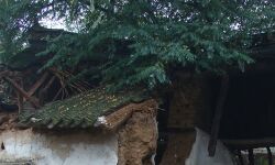 പ്രകൃതിക്ഷോഭം മൂലം നാശനഷ്ടം: കര്‍ഷകര്‍ക്ക് നഷ്ടപരിഹാരം നല്‍കണമെന്ന് മന്ത്രിക്ക് എംഎല്‍എയുടെ നിവേദനം