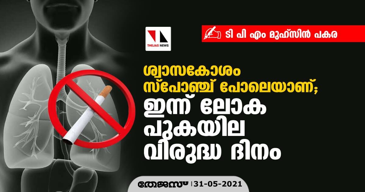 ശ്വാസകോശം സ്‌പോഞ്ച് പോലെയാണ്; ഇന്ന് ലോക പുകയില വിരുദ്ധ ദിനം