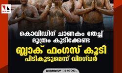 കൊവിഡിന് ചാണകം തേച്ച് മൂത്രം കുടിക്കേണ്ട ;ബ്ലാക് ഫംഗസ് കൂടി പിടികൂടുമെന്ന് വിദഗ്ധര്‍