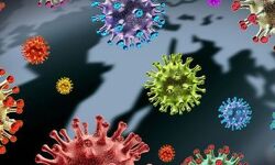 เดเดจเตเดคเตเดฏเดฏเดฟเดฒเตโ เดเดฃเตเดเตเดคเตเดคเดฟเดฏ เดเตเดตเดฟเดกเต เดตเดเดญเตเดฆเด เดฌเดฟ.1.617 เดเดจเดฟเดฎเตเดคเดฒเตโ เดกเตเดฒเตโเดฑเตเดฑ เดตเดเดญเตเดฆเดฎเตเดจเตเดจเต เด
เดฑเดฟเดฏเดชเตเดชเตเดเตเดฎเตเดจเตเดจเต เดฒเตเดเดพเดฐเตเดฏเตเดพเด เดธเดเดเดเดจ เดเดจเตเดคเตเดฏเดฏเดฟเดฒเตโ เดเดฃเตเดเตเดคเตเดคเดฟเดฏ เดเตเดตเดฟเดกเต เดตเดเดญเตเดฆเด เดฌเดฟ.1.617 เดเดจเดฟเดฎเตเดคเดฒเตโ เดกเตเดฒเตโเดฑเตเดฑ เดตเดเดญเตเดฆเดฎเตเดจเตเดจเต เด
เดฑเดฟเดฏเดชเตเดชเตเดเตเดฎเตเดจเตเดจเต เดฒเตเดเดพเดฐเตเดฏเตเดพเด เดธเดเดเดเดจ