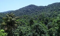 അഞ്ച് തൊഴിലാളികള്‍ മേഘാലയയിലെ എലി മാളങ്ങളെന്നറിയപ്പെടുന്ന ഖനികളില്‍ കുടുങ്ങി