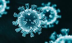 എറണാകുളം ജില്ലയില് ഇന്ന് 2081 പേര്ക്ക് കൊവിഡ്; ടെസ്റ്റ് പോസിറ്റിവിറ്റി നിരക്ക് 15.59 ശതമാനം എറണാകുളം ജില്ലയില് ഇന്ന് 2081 പേര്ക്ക് കൊവിഡ്; ടെസ്റ്റ് പോസിറ്റിവിറ്റി നിരക്ക് 15.59 ശതമാനം