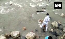 മൃതദേഹങ്ങള്‍ തെരുവുനായ്ക്കള്‍ കടിച്ചുവലിക്കുന്നു; ഉത്താഖണ്ഡില്‍നിന്ന് ഞെട്ടിക്കുന്ന ദൃശ്യങ്ങള്‍