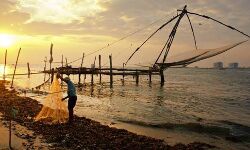 നിയന്ത്രണങ്ങളോടെ മത്സ്യബന്ധനത്തിന് അനുമതി; ഹാര്ബറുകളുടെ പ്രവര്ത്തനം പുനരാരംഭിക്കും നിയന്ത്രണങ്ങളോടെ മത്സ്യബന്ധനത്തിന് അനുമതി; ഹാര്ബറുകളുടെ പ്രവര്ത്തനം പുനരാരംഭിക്കും