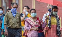 മാഷ് പദ്ധതിയും കാവലാള് പദ്ധതിയും ഫലം കാണുന്നു: കാസര്കോഡ് ജില്ലയിലെ 50 വാര്ഡുകള് സീറോ കൊവിഡ് വാര്ഡുകളായി മാഷ് പദ്ധതിയും കാവലാള് പദ്ധതിയും ഫലം കാണുന്നു: കാസര്കോഡ് ജില്ലയിലെ 50 വാര്ഡുകള് സീറോ കൊവിഡ് വാര്ഡുകളായി