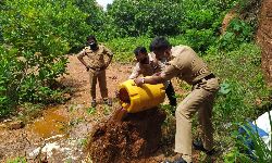 ചാവശ്ശേരി മഞ്ചപ്പറമ്പില് 90 ലിറ്റര് വാഷ് കണ്ടെത്തി ചാവശ്ശേരി മഞ്ചപ്പറമ്പില് 90 ലിറ്റര് വാഷ് കണ്ടെത്തി