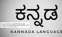 ഇന്ത്യയിലെ ഏറ്റവും മോശം ഭാഷ കന്നഡയെന്ന് ഗൂഗ്ള് ഇന്ത്യയിലെ ഏറ്റവും മോശം ഭാഷ കന്നഡയെന്ന് ഗൂഗ്ള്