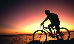 เดธเตเดตเต เดเตเดฐเดณเดพ เดฌเตเดฐเดฟเดเตเดกเต เดฎเตเดฒเตเดฒเดชเตเดชเตเดฐเดฟเดฏเดพเดฐเตโ เดธเตเดเตเดเดฟเดณเตโ เดธเดจเตเดฆเตเดถ เดฏเดพเดคเตเดฐ เดธเดเดเดเดฟเดชเตเดชเดฟเดเตเดเตเดจเตเดจเต เดธเตเดตเต เดเตเดฐเดณเดพ เดฌเตเดฐเดฟเดเตเดกเต เดฎเตเดฒเตเดฒเดชเตเดชเตเดฐเดฟเดฏเดพเดฐเตโ เดธเตเดเตเดเดฟเดณเตโ เดธเดจเตเดฆเตเดถ เดฏเดพเดคเตเดฐ เดธเดเดเดเดฟเดชเตเดชเดฟเดเตเดเตเดจเตเดจเต