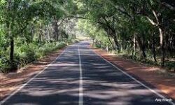ചെര്‍ക്കള-ജാല്‍സൂര്‍ അന്തര്‍ സംസ്ഥാന പാത അഭിവൃധിപ്പെടുത്താന്‍ 100 കോടി